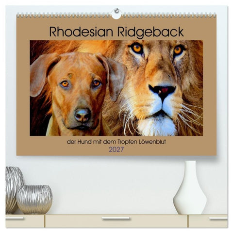 Rhodesian Ridgeback der Hund mit dem Tropfen Löwenblut (hochwertiger Premium Wandkalender 2027 DIN A2 quer), Kunstdruck in Hochglanz