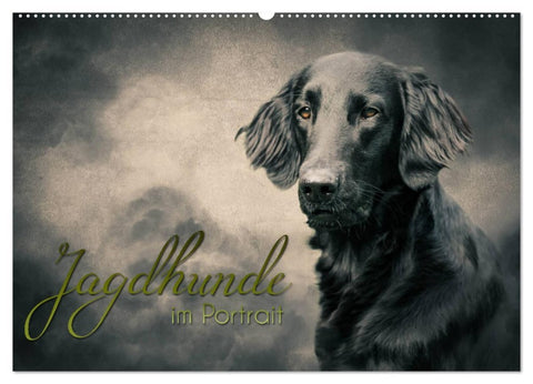 Jagdhunde im Portrait (Wandkalender 2026 DIN A2 quer), CALVENDO Monatskalender