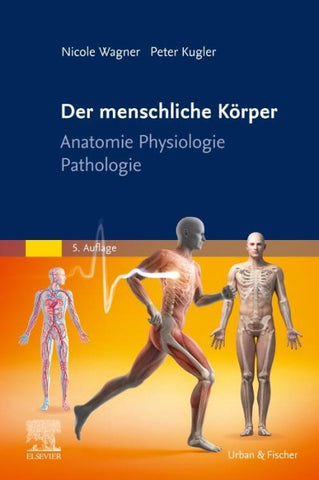 Der menschliche Körper