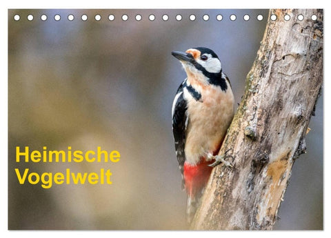 Heimische Vogelwelt (Tischkalender 2027 DIN A5 quer), CALVENDO Monatskalender