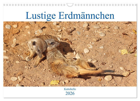 Lustige Erdmännchen (Wandkalender 2026 DIN A3 quer), CALVENDO Monatskalender
