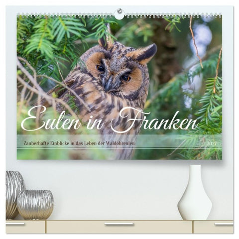 Eulen in Franken (hochwertiger Premium Wandkalender 2027 DIN A2 quer), Kunstdruck in Hochglanz