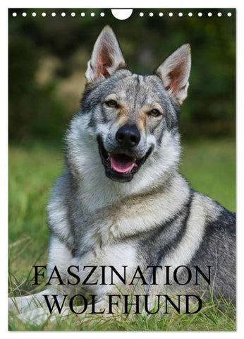 Faszination Wolfhund (Wandkalender 2026 DIN A4 hoch), CALVENDO Monatskalender