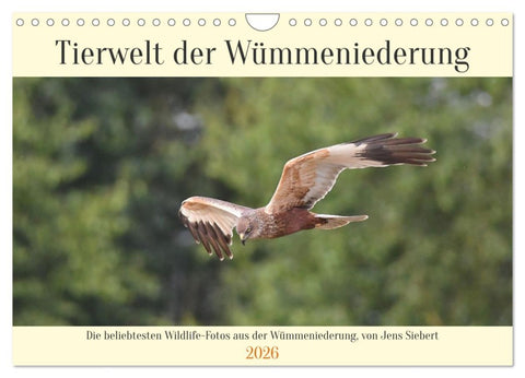 Tierwelt der Wümmeniederung (Wandkalender 2026 DIN A4 quer), CALVENDO Monatskalender