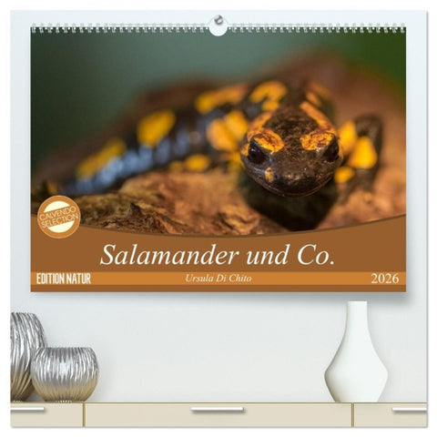 Salamander und Co. (hochwertiger Premium Wandkalender 2026 DIN A2 quer), Kunstdruck in Hochglanz