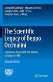 The Scientific Legacy of Beppo Occhialini