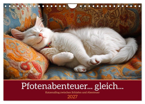 Pfotenabenteuer gleich (Wandkalender 2027 DIN A4 quer), CALVENDO Monatskalender