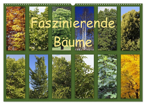 Faszinierende Bäume (Wandkalender 2026 DIN A2 quer), CALVENDO Monatskalender