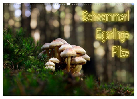 Schwammerl Egerlinge Pilze (Wandkalender 2027 DIN A2 quer), CALVENDO Monatskalender