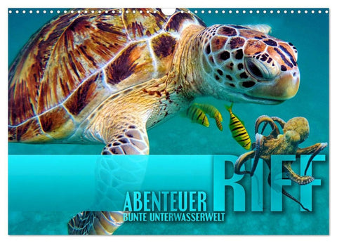 Abenteuer Riff - bunte Unterwasserwelt (Wandkalender 2026 DIN A3 quer), CALVENDO Monatskalender