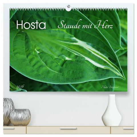 Hosta Staude mit Herz (hochwertiger Premium Wandkalender 2026 DIN A2 quer), Kunstdruck in Hochglanz