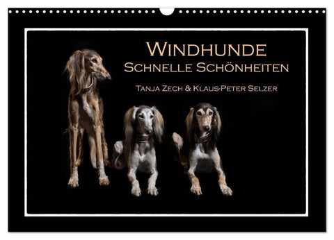 Windhunde - Schnelle Schönheiten (Wandkalender 2027 DIN A3 quer), CALVENDO Monatskalender
