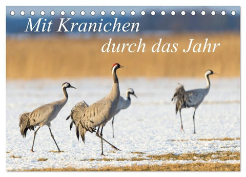 Mit Kranichen durch das Jahr (Tischkalender 2027 DIN A5 quer), CALVENDO Monatskalender