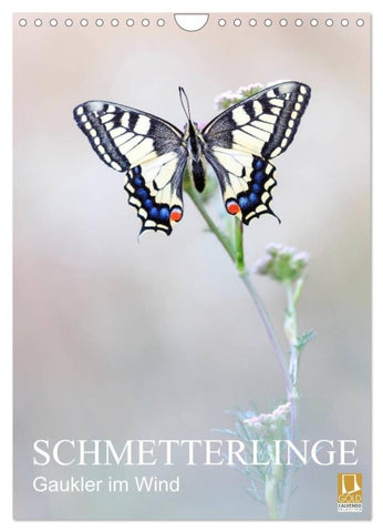 Schmetterlinge - Gaukler im Wind (Wandkalender 2027 DIN A4 hoch), CALVENDO Monatskalender