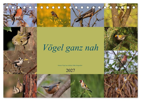 Vögel ganz nah (Tischkalender 2027 DIN A5 quer), CALVENDO Monatskalender