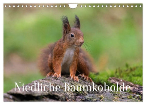 Niedliche Baumkobolde (Wandkalender 2027 DIN A4 quer), CALVENDO Monatskalender