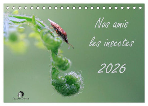 Nos amis les insectes (Calendrier de bureau 2027 DIN A5 vertical), CALVENDO calendrier mensuel