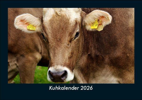 Kuhkalender 2026 Fotokalender DIN A5
