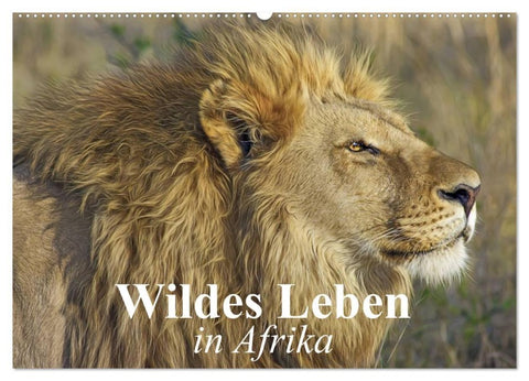 Wildes Leben in Afrika (Wandkalender 2027 DIN A2 quer), CALVENDO Monatskalender
