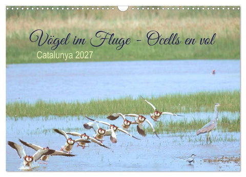 Vögel im Fluge - Ocells en vol (Wandkalender 2027 DIN A3 quer), CALVENDO Monatskalender
