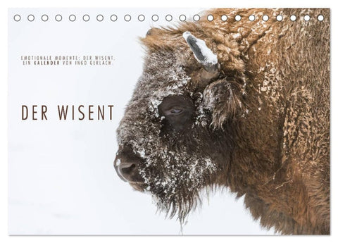 Emotionale Momente: Der Wisent. (Tischkalender 2026 DIN A5 quer), CALVENDO Monatskalender