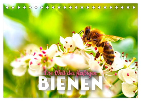 Die Welt der fleißigen Bienen (Tischkalender 2027 DIN A5 quer), CALVENDO Monatskalender