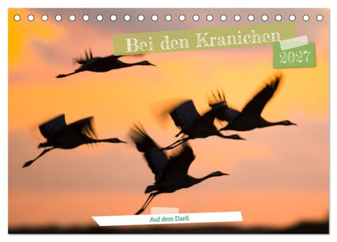 Bei den Kranichen (Tischkalender 2027 DIN A5 quer), CALVENDO Monatskalender