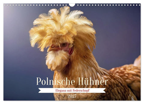 Polnische Hühner (Wandkalender 2027 DIN A3 quer), CALVENDO Monatskalender