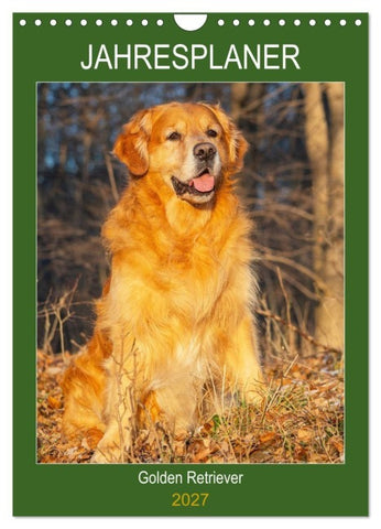 Jahresplaner Golden Retriever (Wandkalender 2027 DIN A4 hoch), CALVENDO Monatskalender