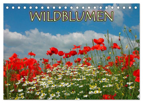 Wildblumen 2027 (Tischkalender 2027 DIN A5 quer), CALVENDO Monatskalender