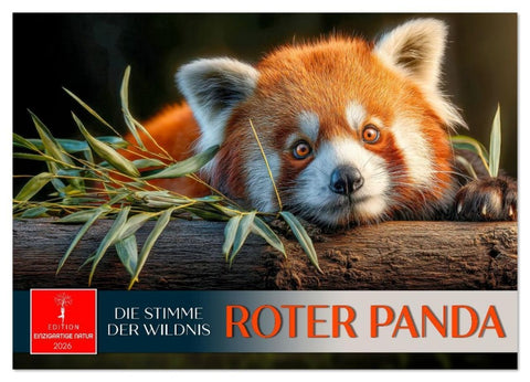 Roter Panda - die Stimme der Wildnis (Wandkalender 2026 DIN A3 quer), CALVENDO Monatskalender