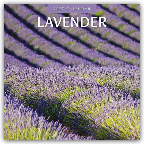 Lavender – Lavendel 2027 – 16-Monatskalender