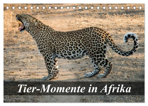 Tier-Momente in Afrika (Tischkalender 2027 DIN A5 quer), CALVENDO Monatskalender