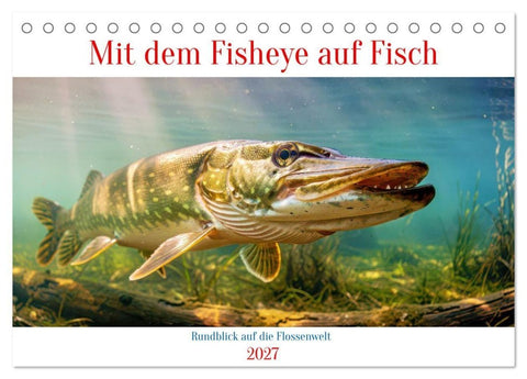 Mit dem Fisheye auf Fisch (Tischkalender 2027 DIN A5 quer), CALVENDO Monatskalender