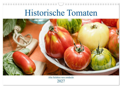 Historische Tomaten - Alte Schätze neu entdeckt (Wandkalender 2027 DIN A3 quer), CALVENDO Monatskalender