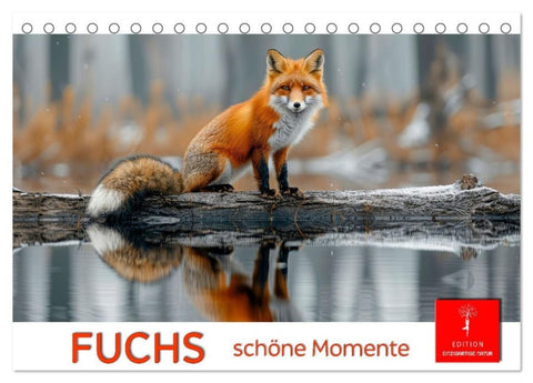 Fuchs - schöne Momente (Tischkalender 2027 DIN A5 quer), CALVENDO Monatskalender