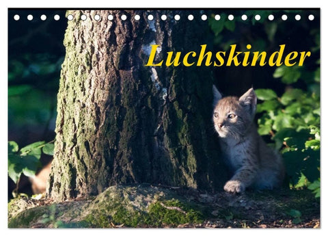 Luchskinder (Tischkalender 2027 DIN A5 quer), CALVENDO Monatskalender