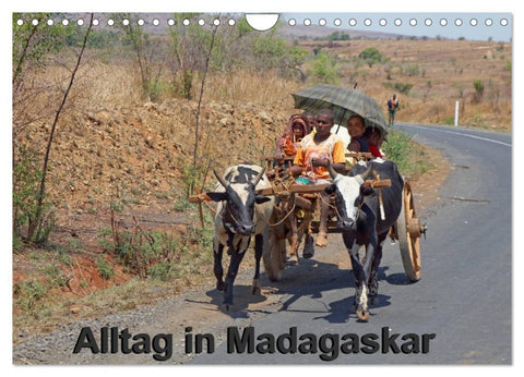 Alltag in Madagaskar (Wandkalender 2026 DIN A4 quer), CALVENDO Monatskalender