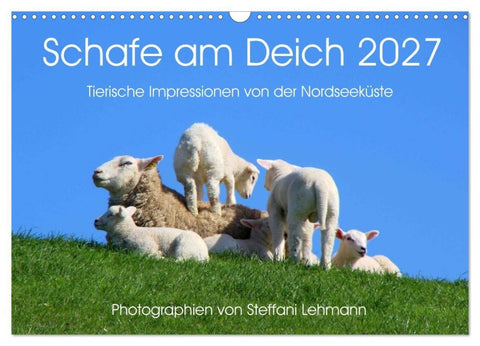 Schafe am Deich 2027. Tierische Impressionen von der Nordseeküste (Wandkalender 2027 DIN A3 quer), CALVENDO Monatskalender