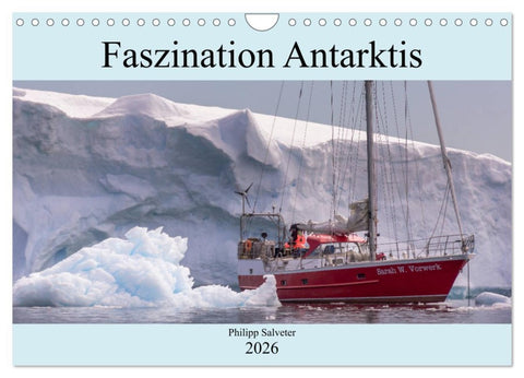 Faszination Antarktis (Wandkalender 2026 DIN A4 quer), CALVENDO Monatskalender