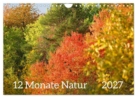 12 Monate Natur (Wandkalender 2027 DIN A4 quer), CALVENDO Monatskalender