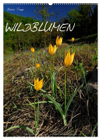 WILDBLUMEN (Wandkalender 2026 DIN A2 hoch), CALVENDO Monatskalender