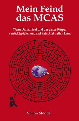 Mein Feind das MCAS