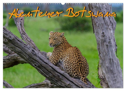 Abenteuer Botswana Afrika - Adventure Botswana (Wandkalender 2027 DIN A2 quer), CALVENDO Monatskalender