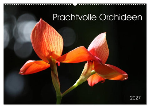Prachtvolle Orchideen (Wandkalender 2027 DIN A2 quer), CALVENDO Monatskalender