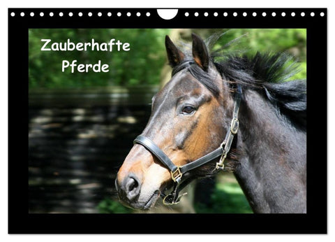 Zauberhafte Pferde (Wandkalender 2026 DIN A4 quer), CALVENDO Monatskalender