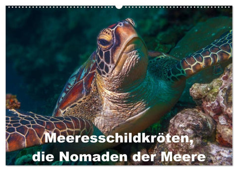 Meeresschildkröten, die Nomaden der Meere (Wandkalender 2026 DIN A2 quer), CALVENDO Monatskalender