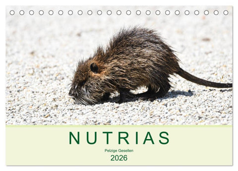 NUTRIAS - Pelzige Gesellen (Tischkalender 2026 DIN A5 quer), CALVENDO Monatskalender