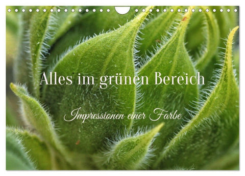 Alles im grünen Bereich (Wandkalender 2027 DIN A4 quer), CALVENDO Monatskalender