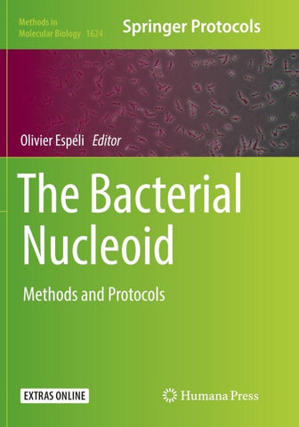 The Bacterial Nucleoid